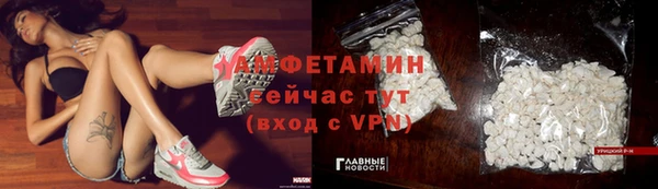 стаф Сатка