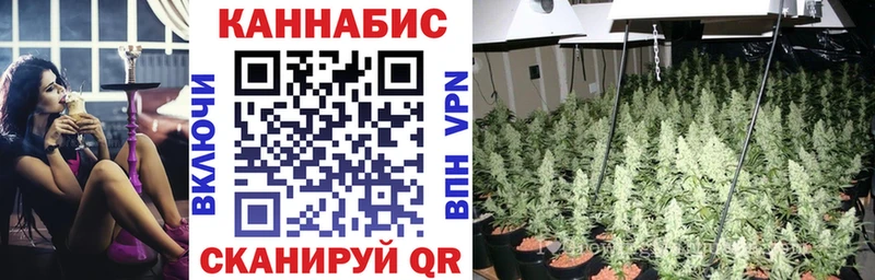 Бошки Шишки конопля Кинешма
